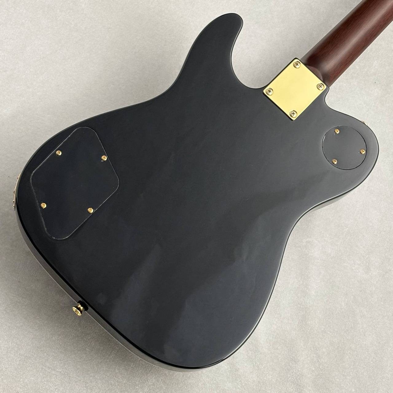 Bacchus Global Series BARON-CTM Alnico Black #GI20549 3.81kg P-90 type Guitar