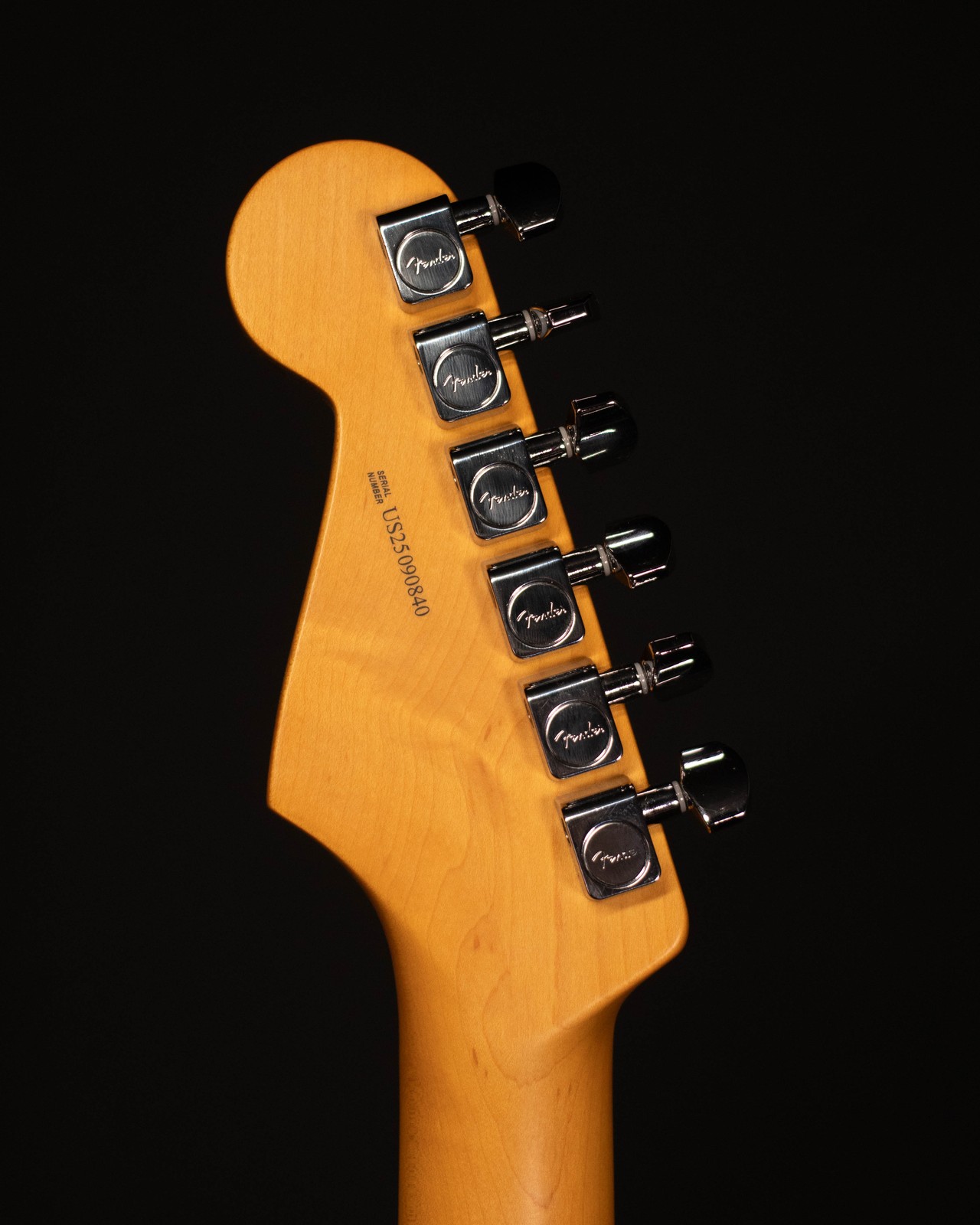 Fender American Professional II Stratocaster, Rosewood FB, Roasted Pine
