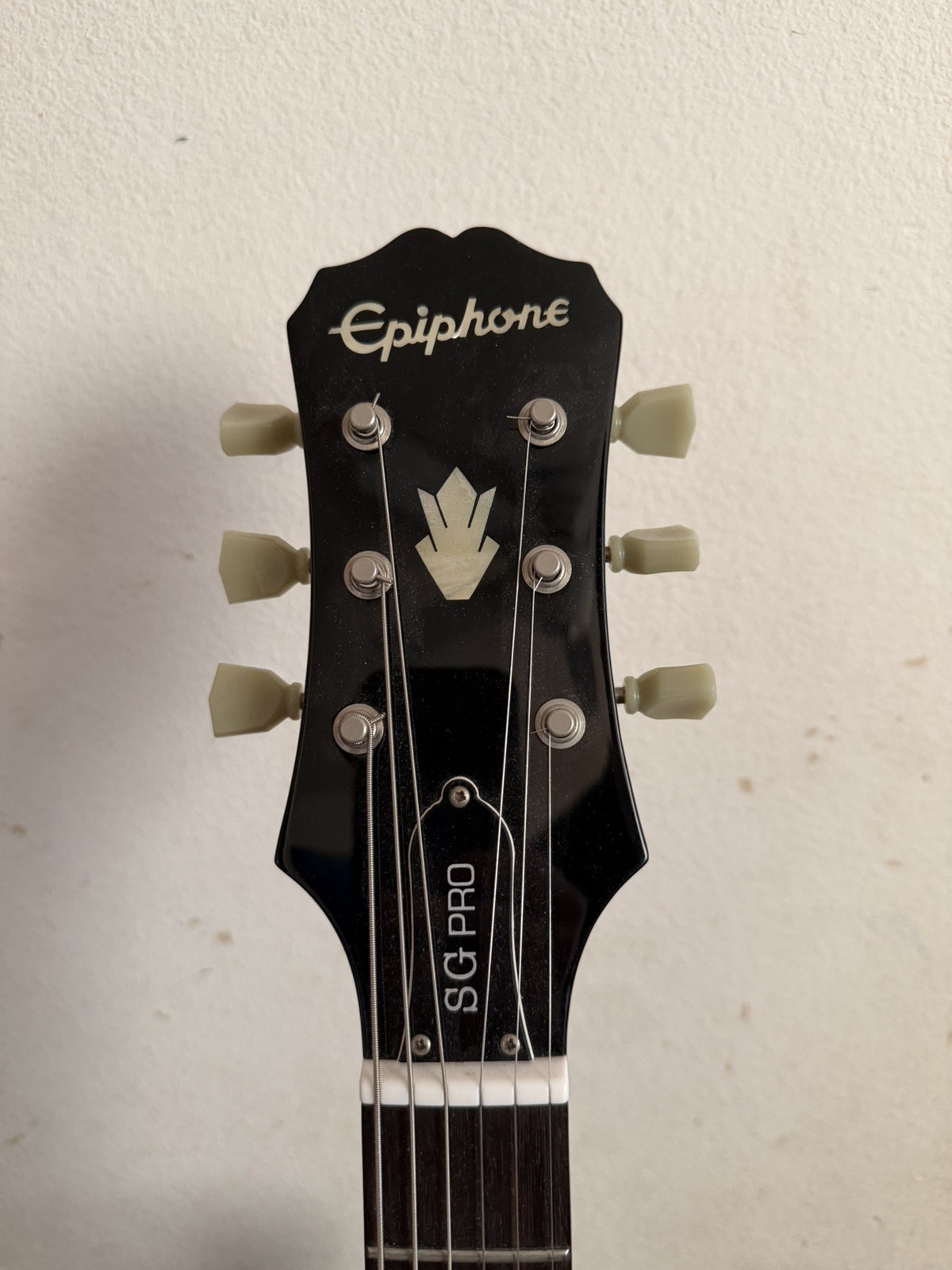 2015 Black Epiphone SG Pro Electric Guitar with Case