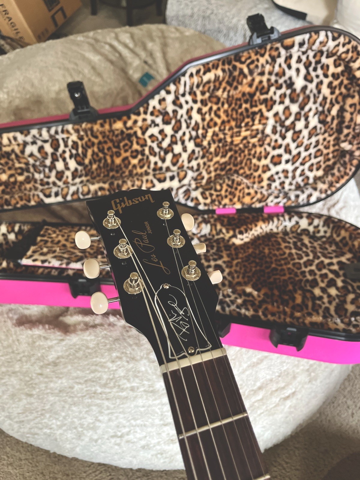 Gibson Les Paul Junior 6-String Solid Electric Guitar (BILLY JOE ARMSTRONG)