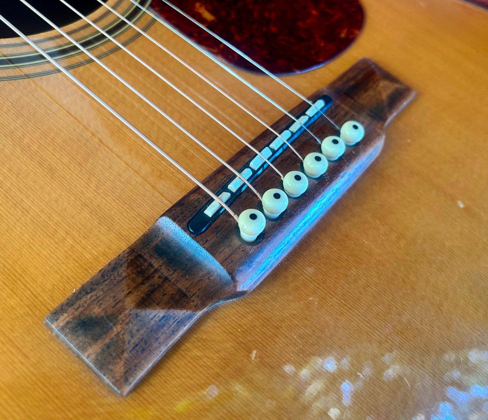 Alvarez 5084 – Bi-Phonic pick-up system ~ Stereo! W/ Hard Case