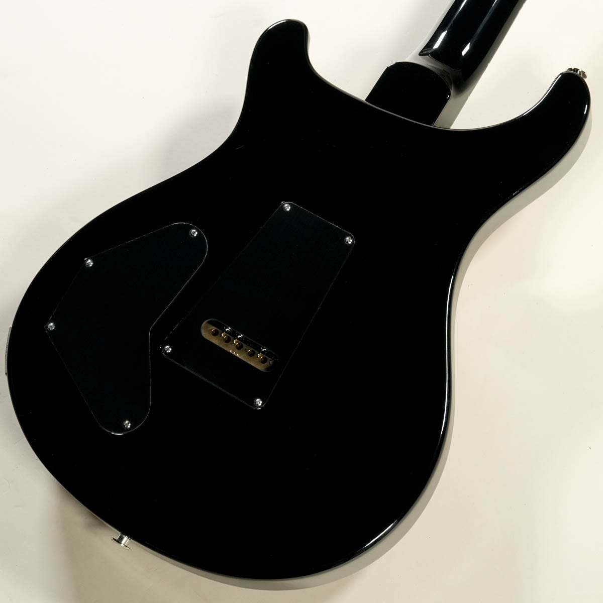 Paul Reed Smith PRS 2024 DGT Birds Inray Custom Color