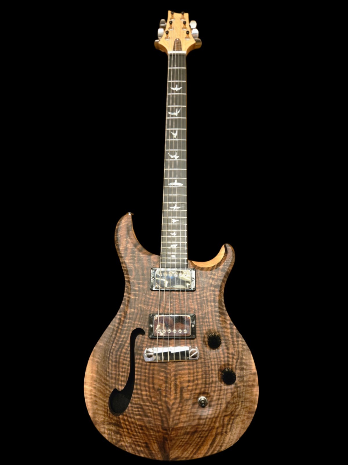 Wilder Guitars Kurly Kong – Handmade, A PRS Custom 24 Model