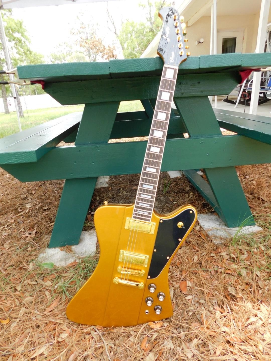 Firefly Firebird Set Neck Electric Guitar,Paper in Oil Capacitors, Very Cool