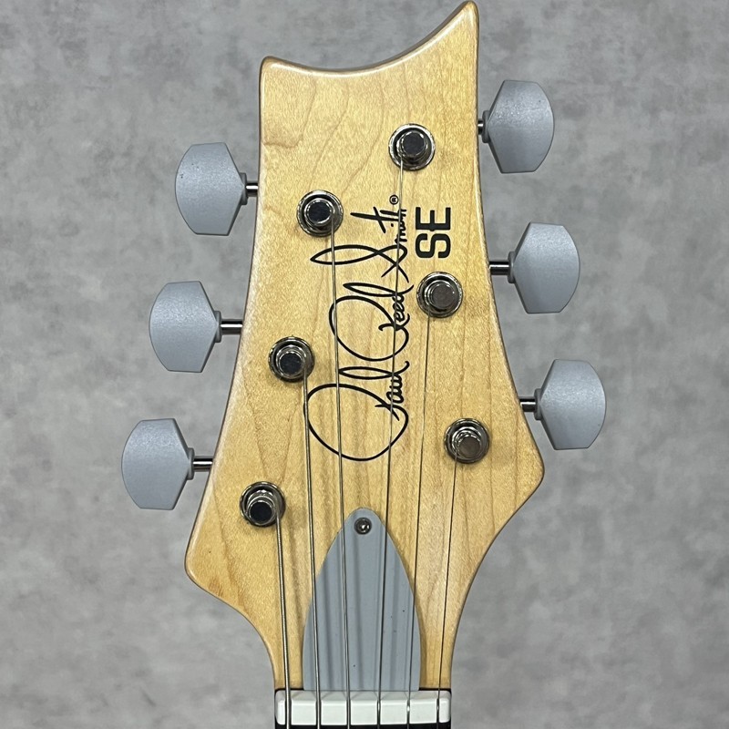 [Paul Reed Smith(PRS)] SE Silver Sky Used 2022 Poplar Body Ever Green Soft Case