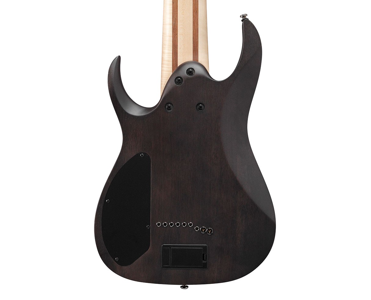 Ibanez RG9PBTGF RG Axe Design Lab 9-String Guitar – Trans Gray Burst