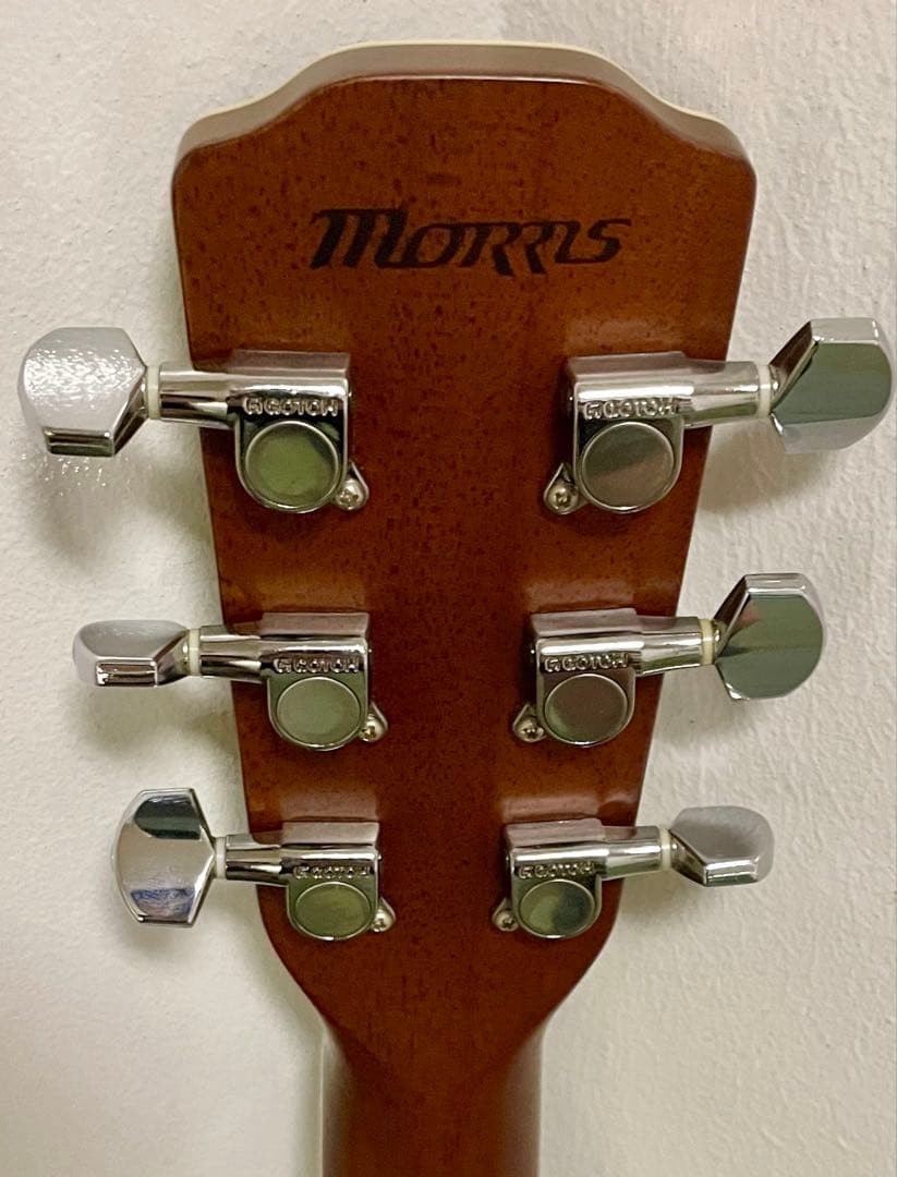 Extremely loudMORRIS MF601Rare material Jacaranda acoustic guitar