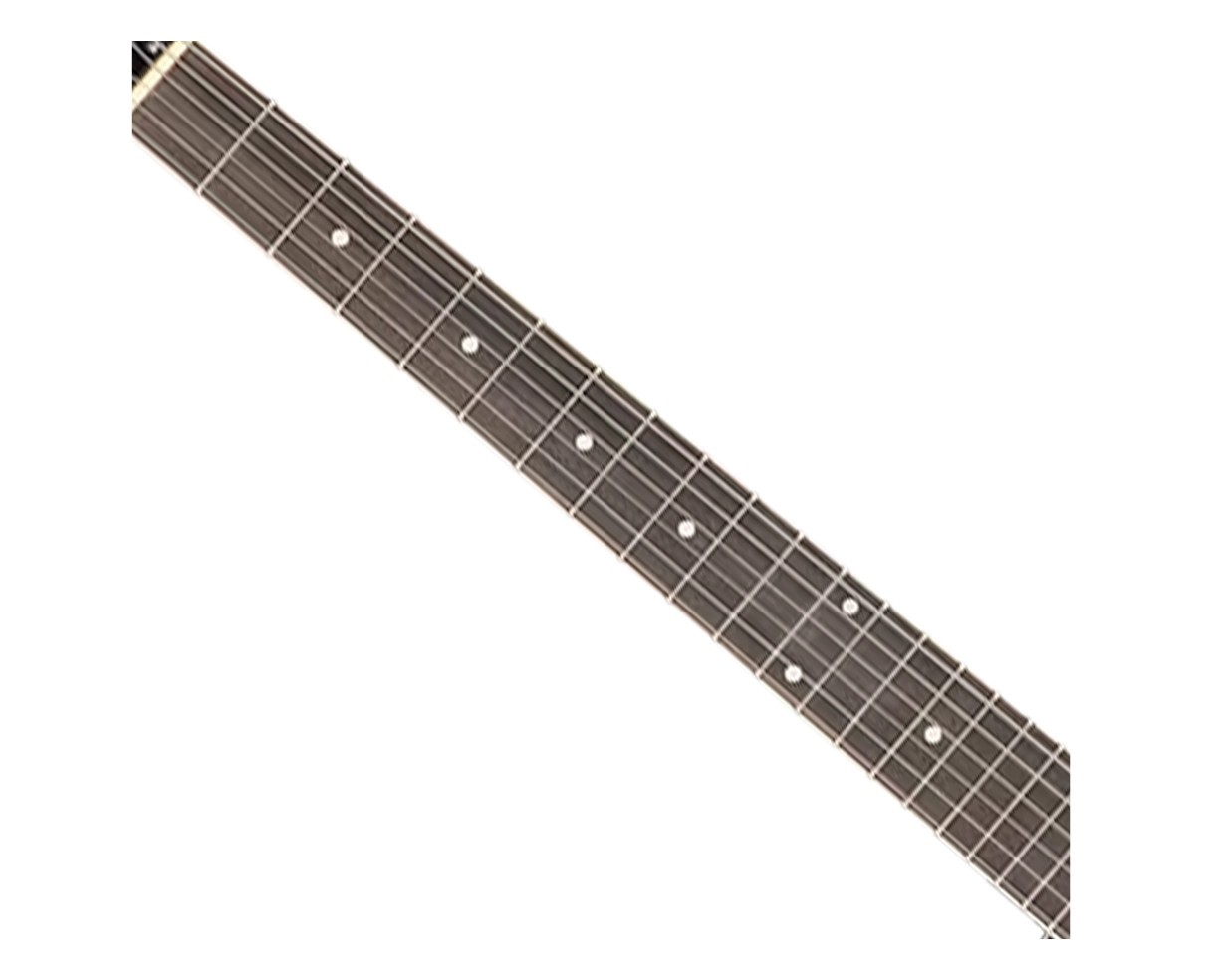 Ortega Guitars OBJE356-SBK-L Raven Series LH 6-String A/E Banjo – Black Open Box