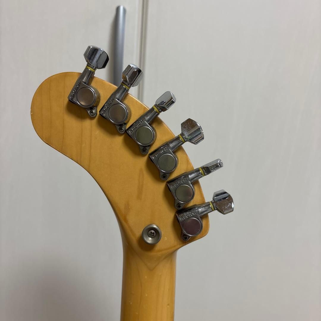 FERNANDES Acrylic ZO-3 Rare Working Condition
