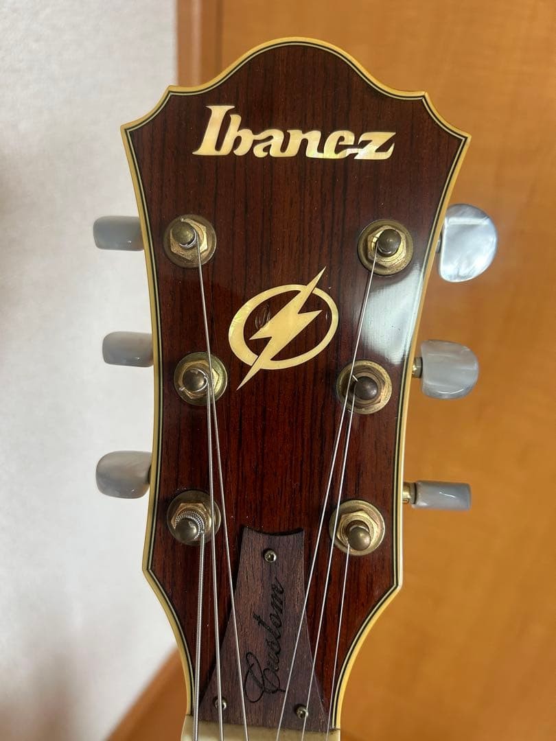 Ibanez AF105NT with full aco hard case