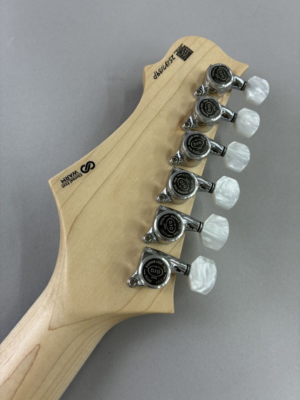 Freedom Custom Guitar RE C.S. Hydra 24F Electric Guitar