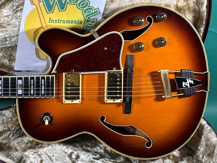 Ibanez AF-200 SB Electric Guitar #BE14310