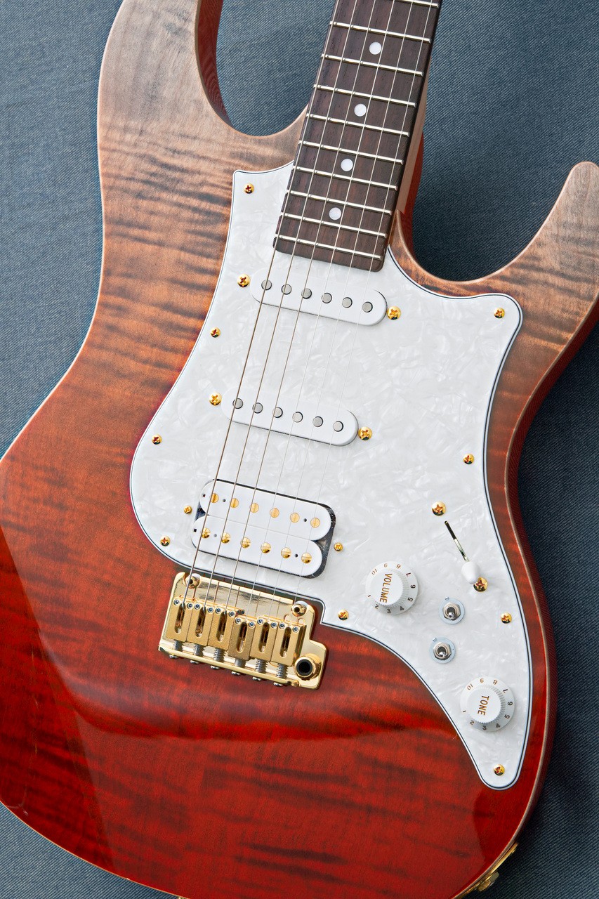 FUJIGEN(FGN) EOS2-FM-R -Ripe Kaki Gradation- RKG 3.75kg Made in Japan #GG1g1