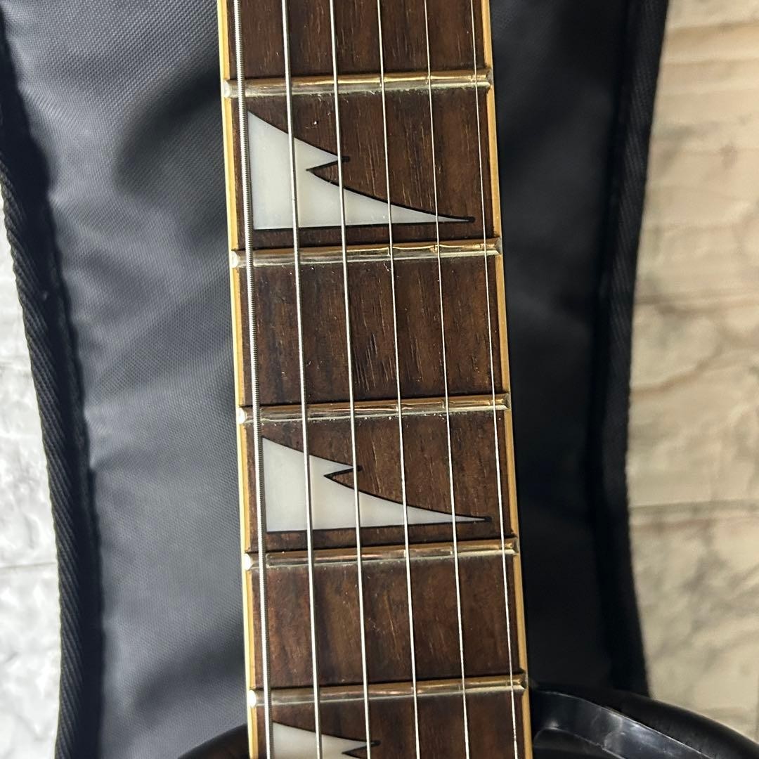 Ibanez RG350DX RG Series / Electric Guitar w/ Original SC