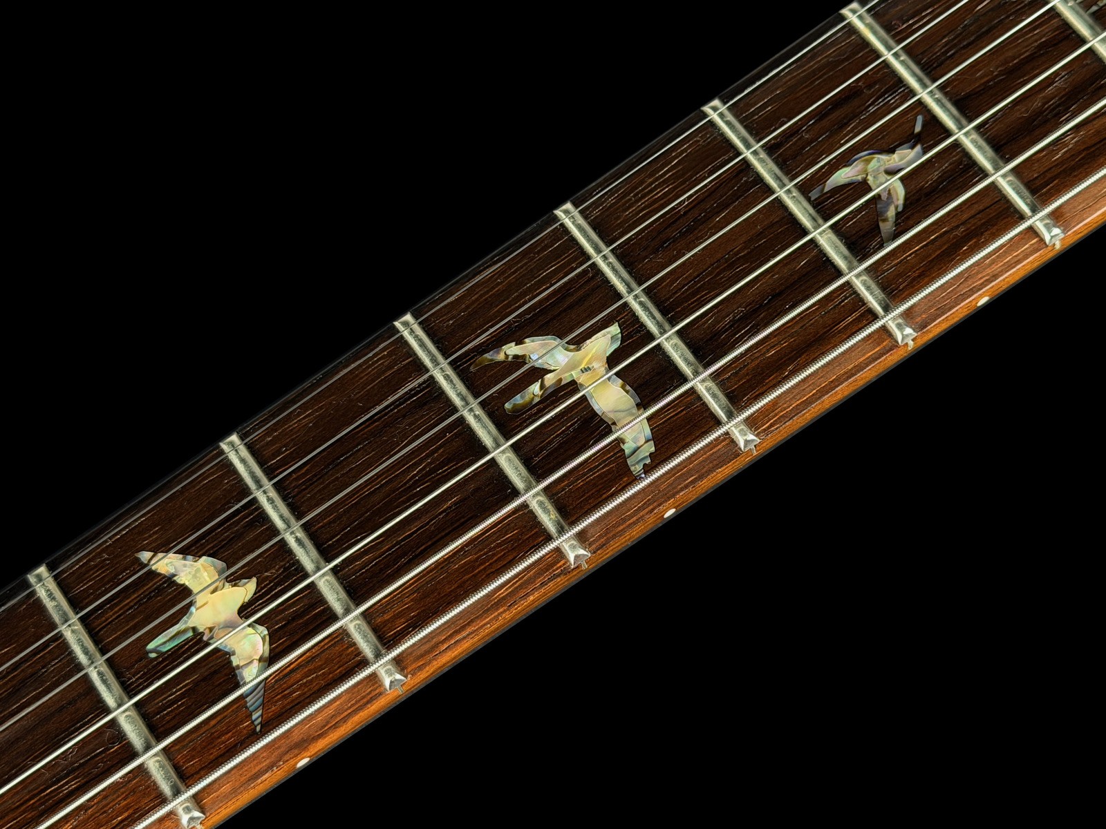 2024 PAUL REED SMITH PRS DAVE GRISSOM DGT WOOD LIBRARY BR@ZILIAN ~ FROST BITE