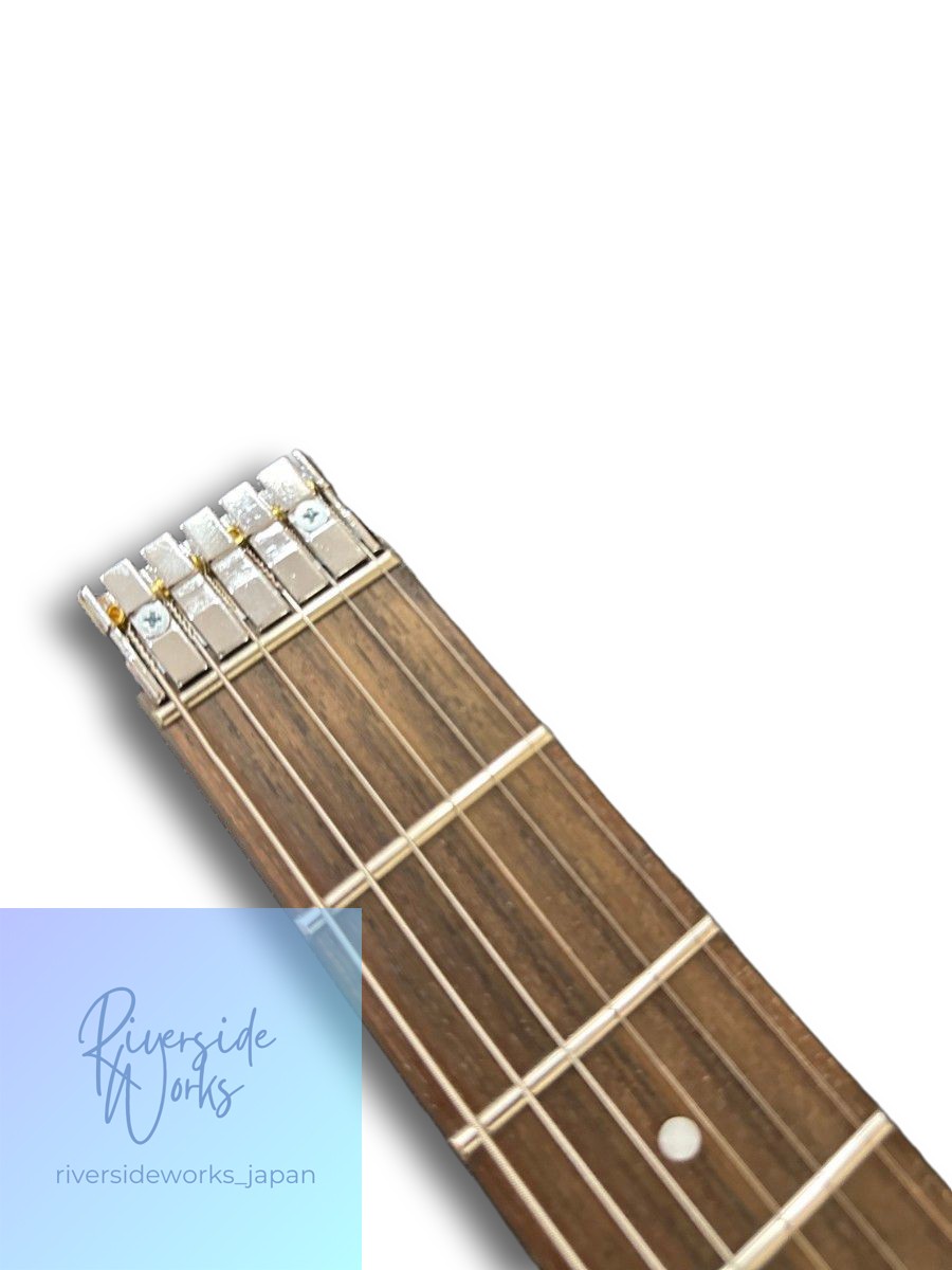 Steinberger Spirit 2 Humbucker Fire Pattern Paint Custom