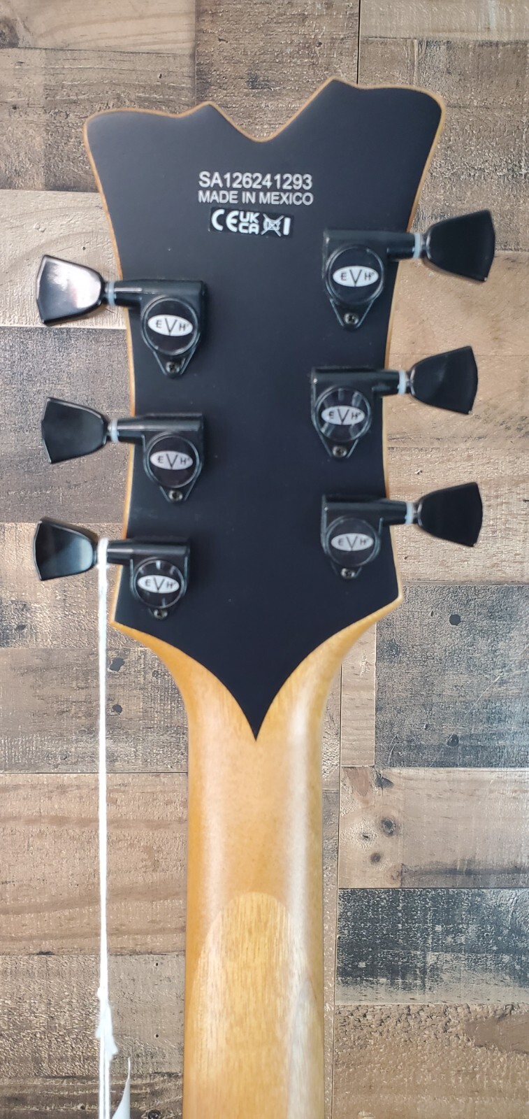 EVH SA-126 Special Semi Hollow SA126 Matte Army Drab 293