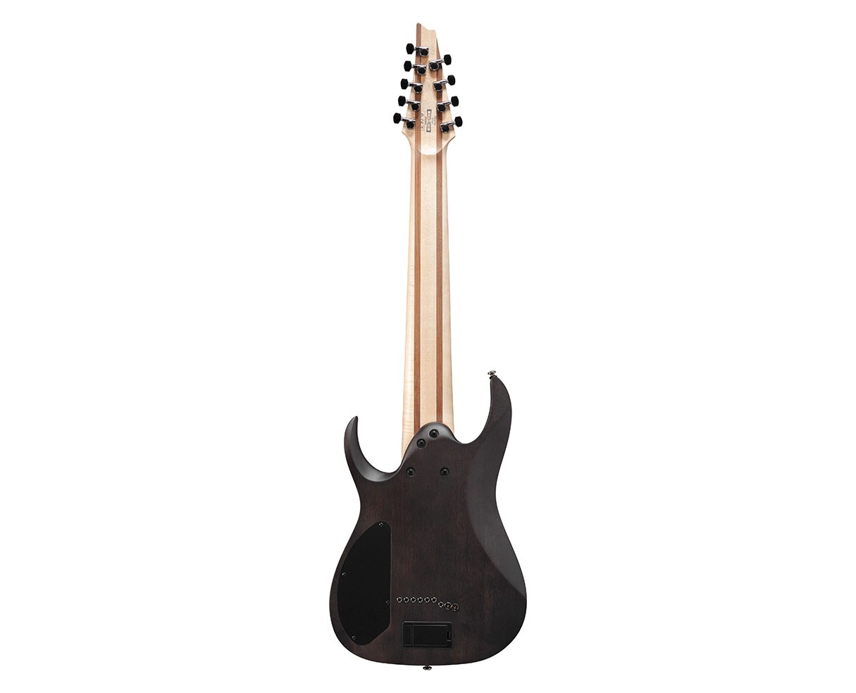 Ibanez RG9PBTGF RG Axe Design Lab 9-String Guitar – Trans Gray Burst