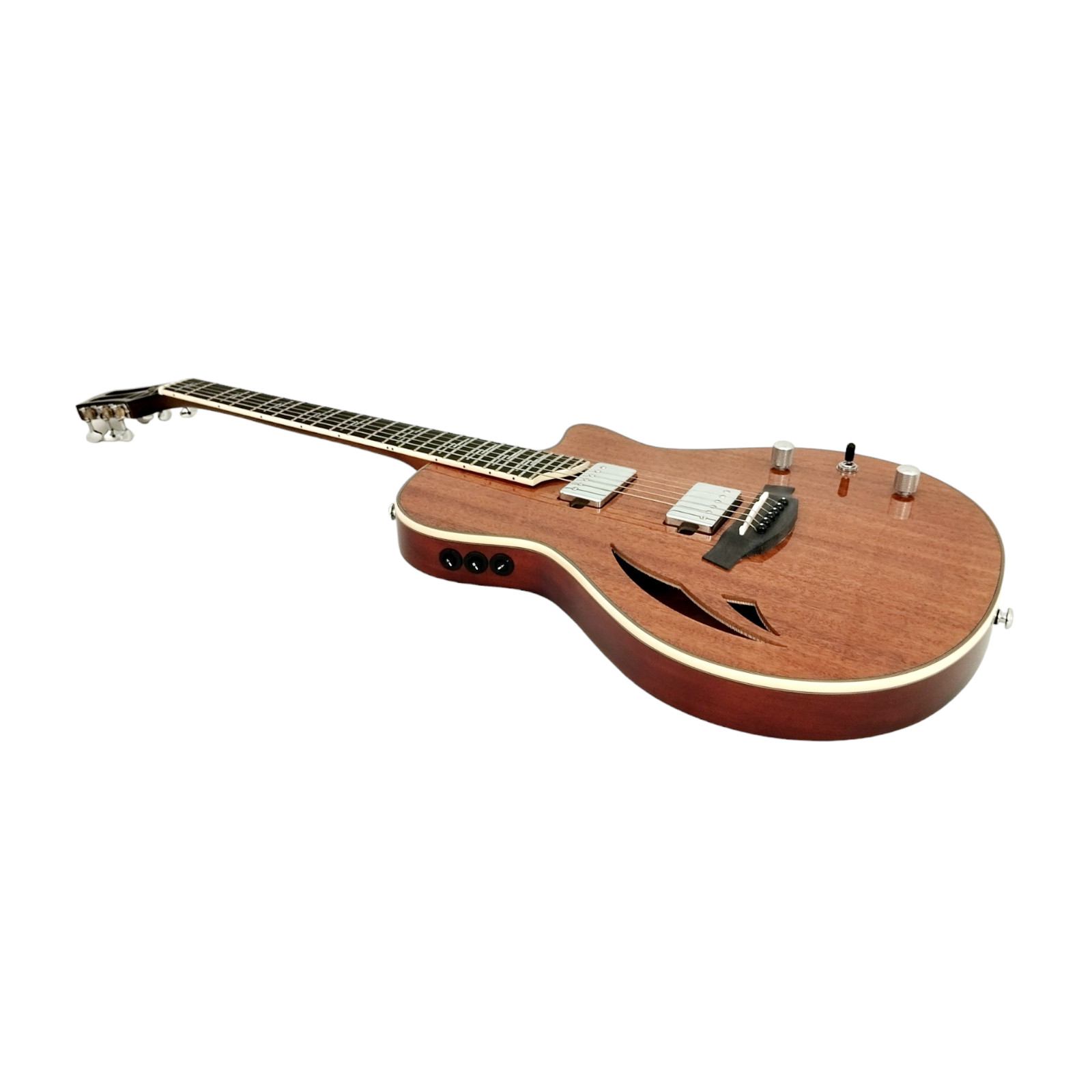 The Swiss Army Knife of Hybird Electric-Acoustic Guitars MULTISPECIALIST2