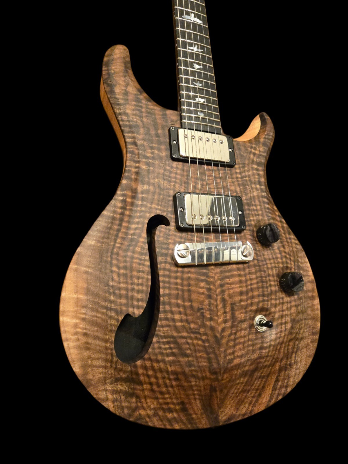 Wilder Guitars Kurly Kong – Handmade, A PRS Custom 24 Model