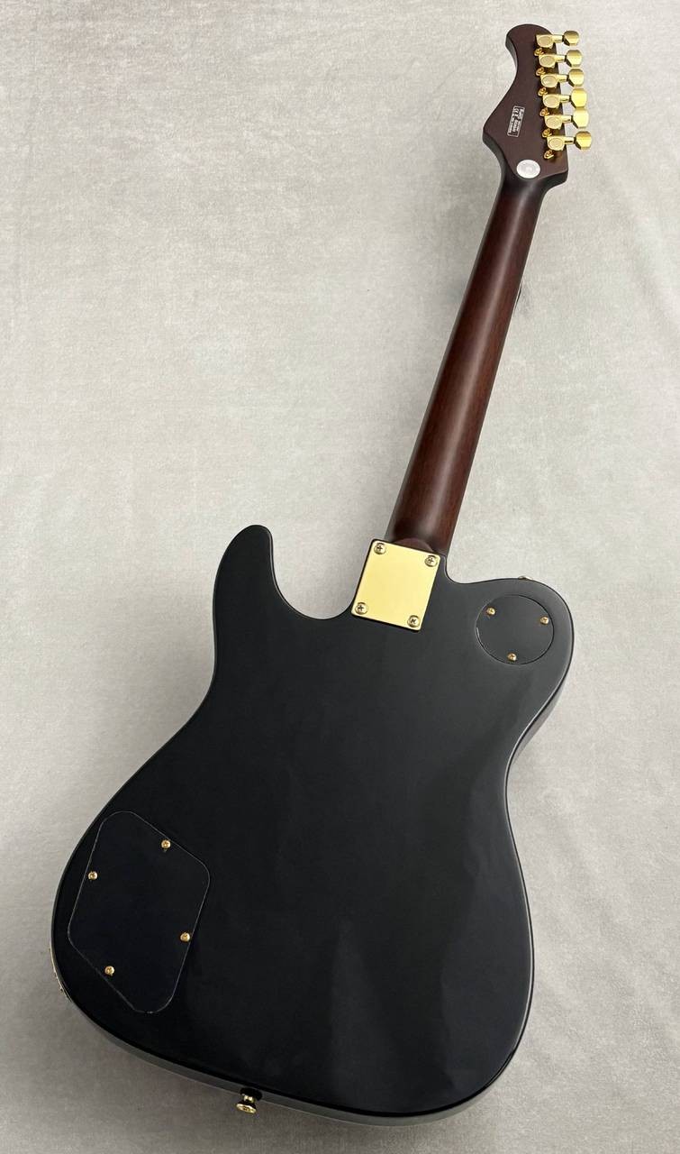 Bacchus Global Series BARON-CTM Alnico Black #GI20549 3.81kg P-90 type Guitar