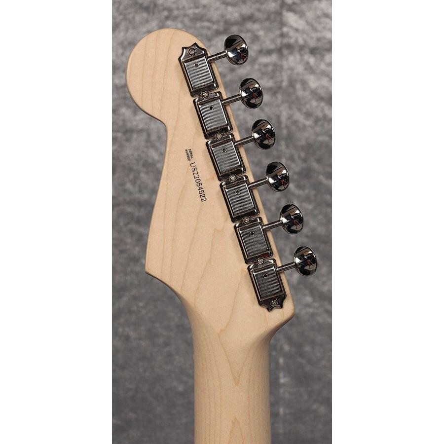 Fender Eric Clapton Signature Stratocaster Black American Artist Series(YRK)