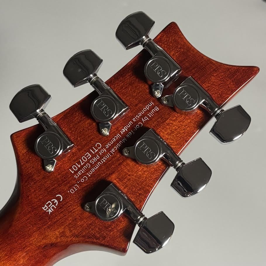 Paul Reed Smith PRS SE STANDARD 24-08 TB