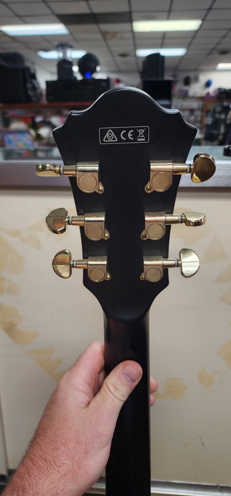 Ibanez Electric Guitar