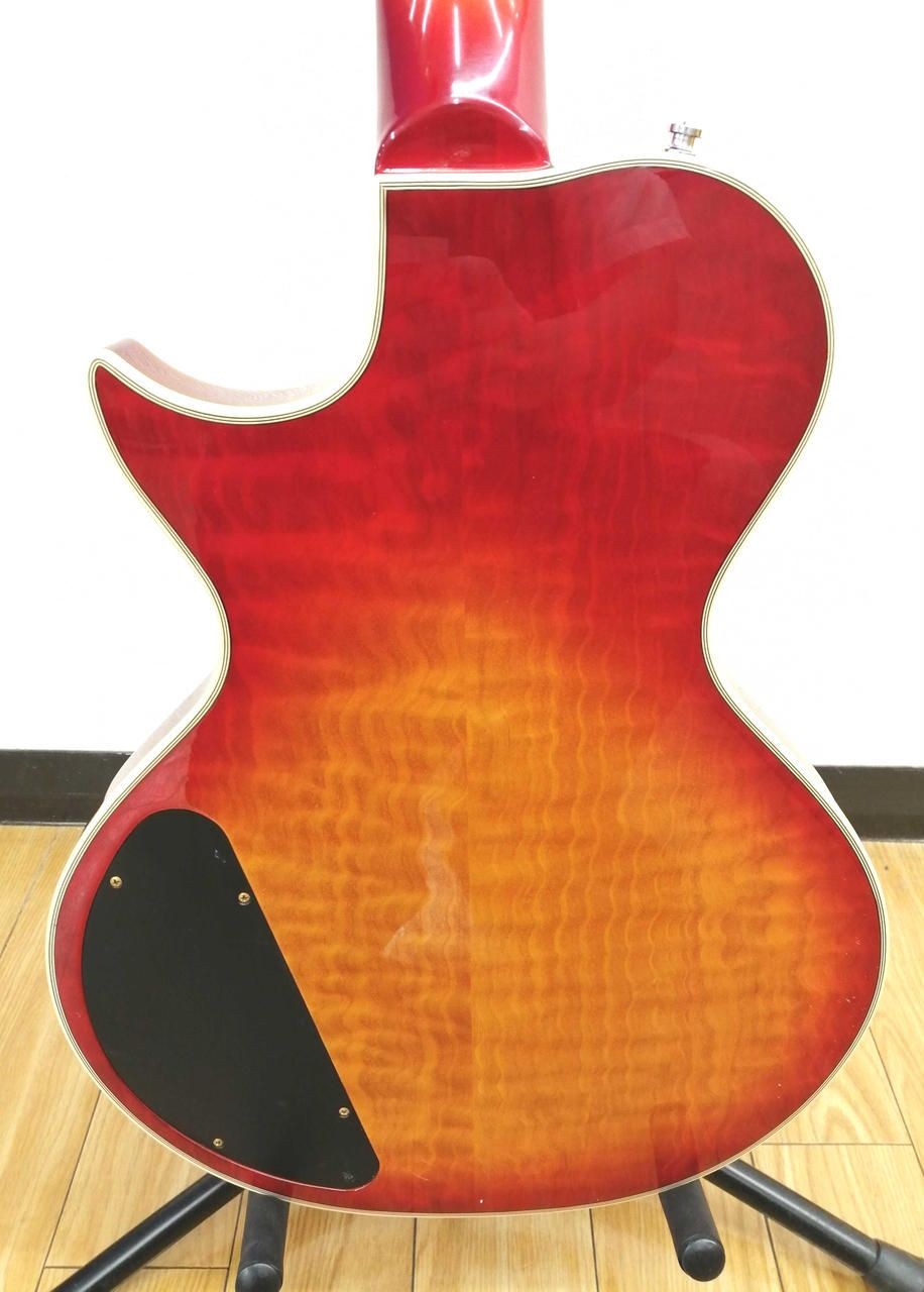 BUNNY Electric Guitar LS SERIES Used