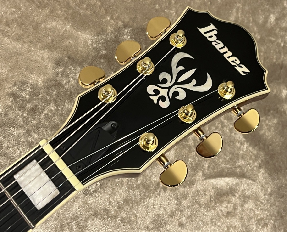 Ibanez Artcore Expressionist AG95MG DA Dark Amber sn PW25120028 [2.82kg] #GG9ip