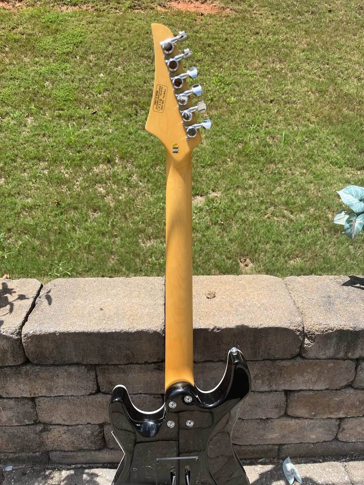 Leo Jaymz Soundprocaster Electric Guitar