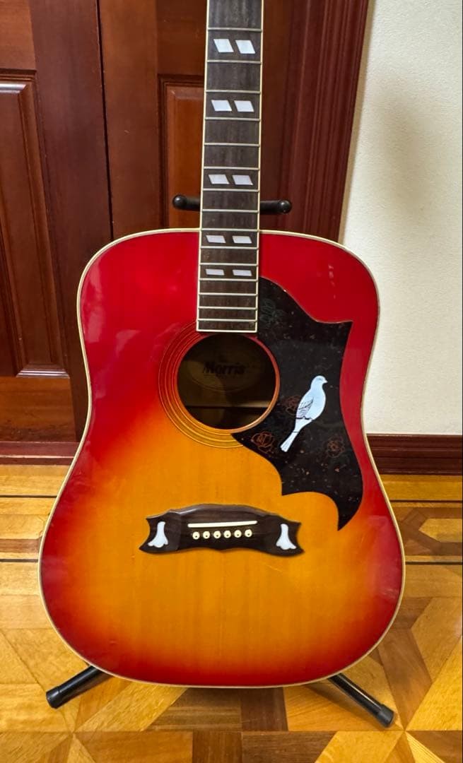 Rare Morris WD-25 acoustic guitar hummingbird type