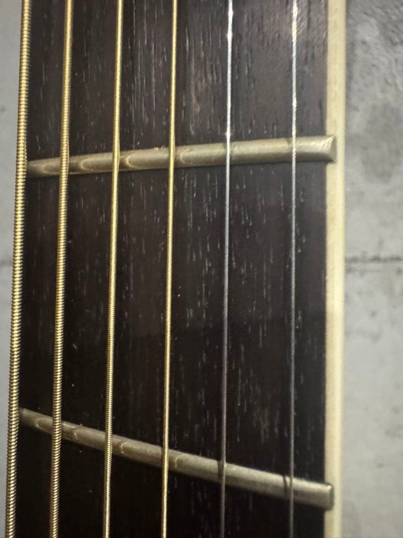 Morris M 601 side back with Jacaranda DiMarzio pickup