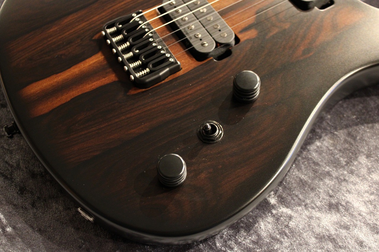 RUF Guitars Professor Schrödinger 6 Ziricote All Carbon Used
