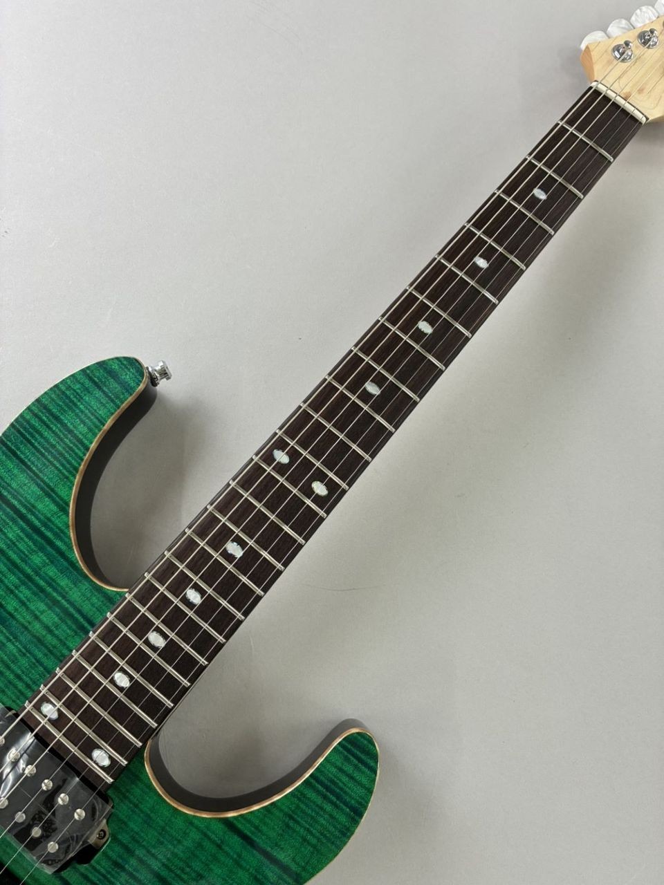 Freedom Custom Guitar RE C.S. Hydra 24F Electric Guitar