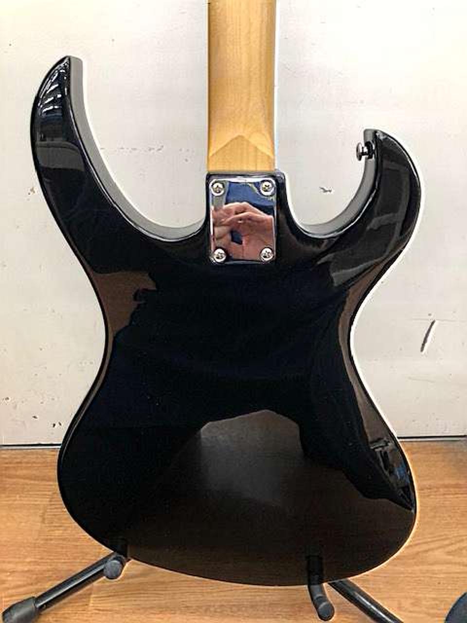 EASTWOOD HUMMINGBIRD Other body types
