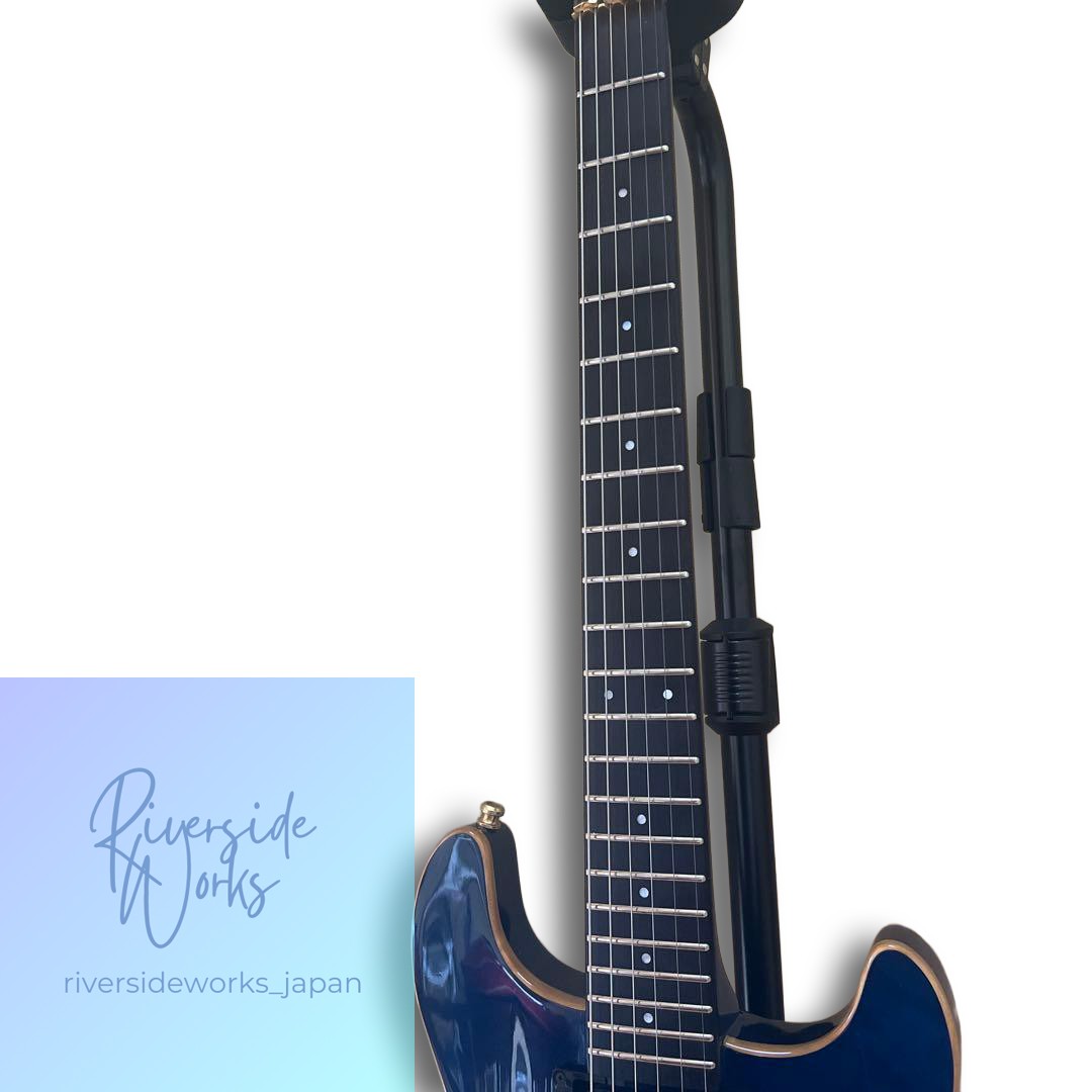 Rare FERNANDES APG-160