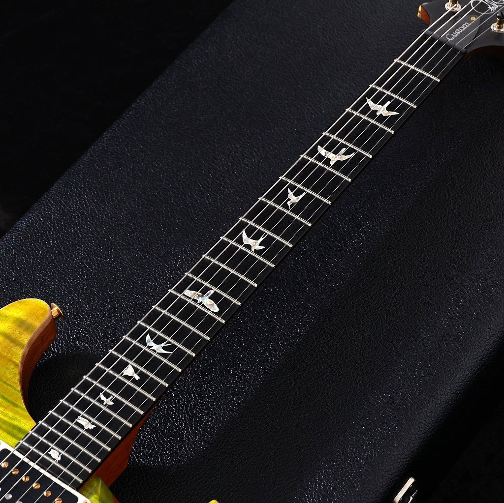 PRS 2021 Custom 24 10-Top Green Fade Pattern Regular Neck [0331244]