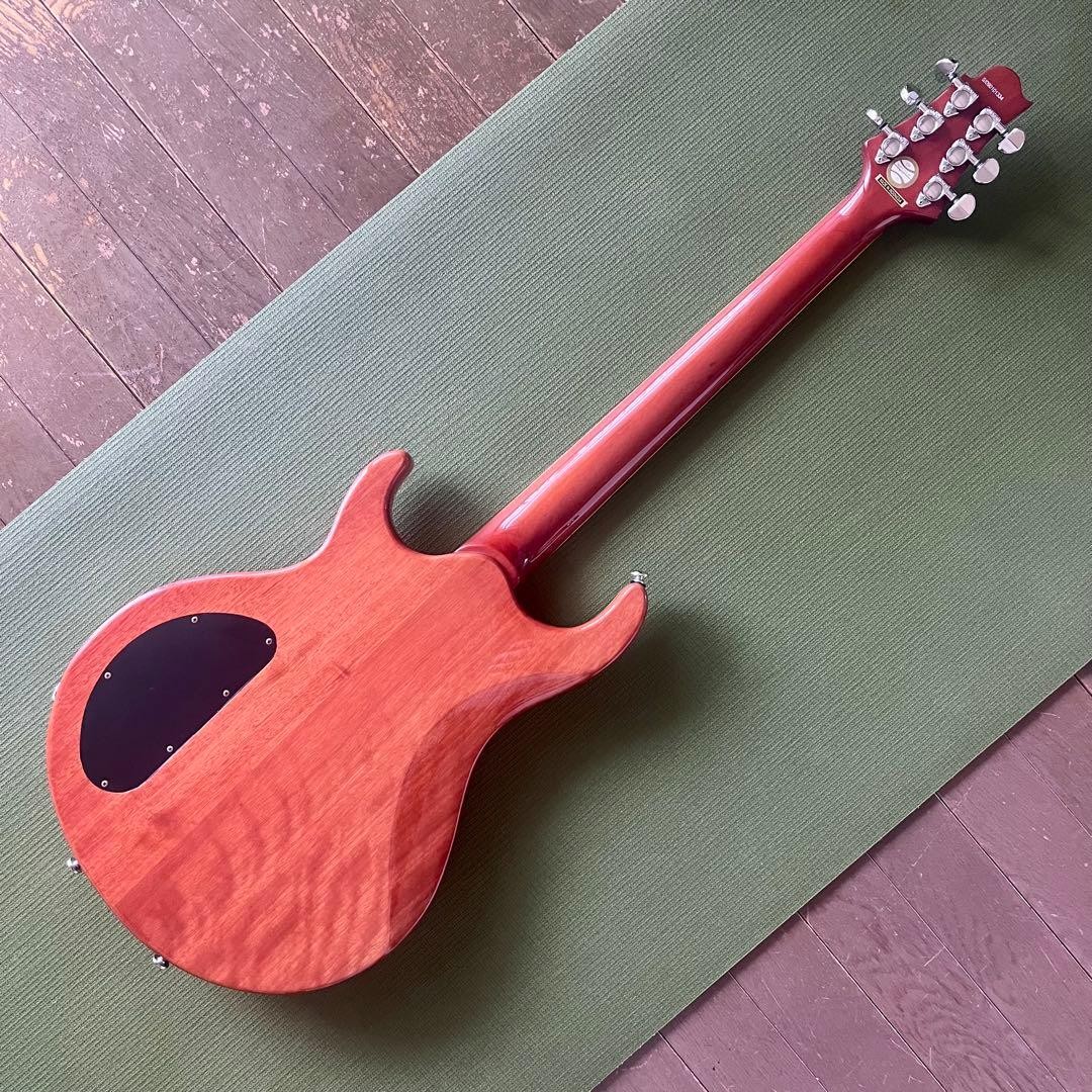 Prsduncan Desigend Glover With Gig Bag