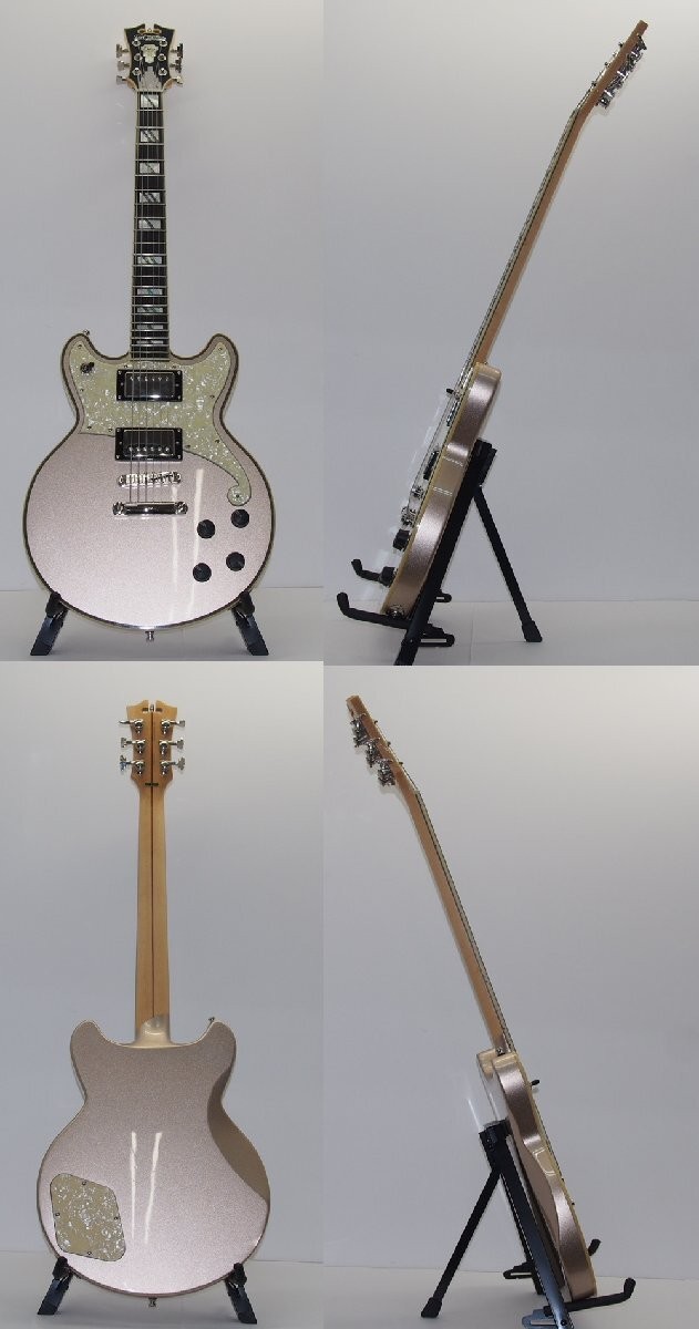 D’Angelico Deluxe Brighton Electric Guitar Wg5180 With Hard Case No.YG878
