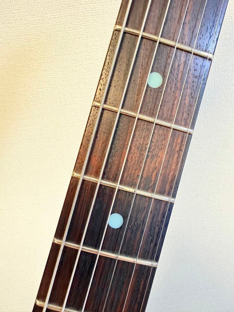 Fender Telecaster Thinline Harajuku Limited Gold Parts Kusumi No.MG293
