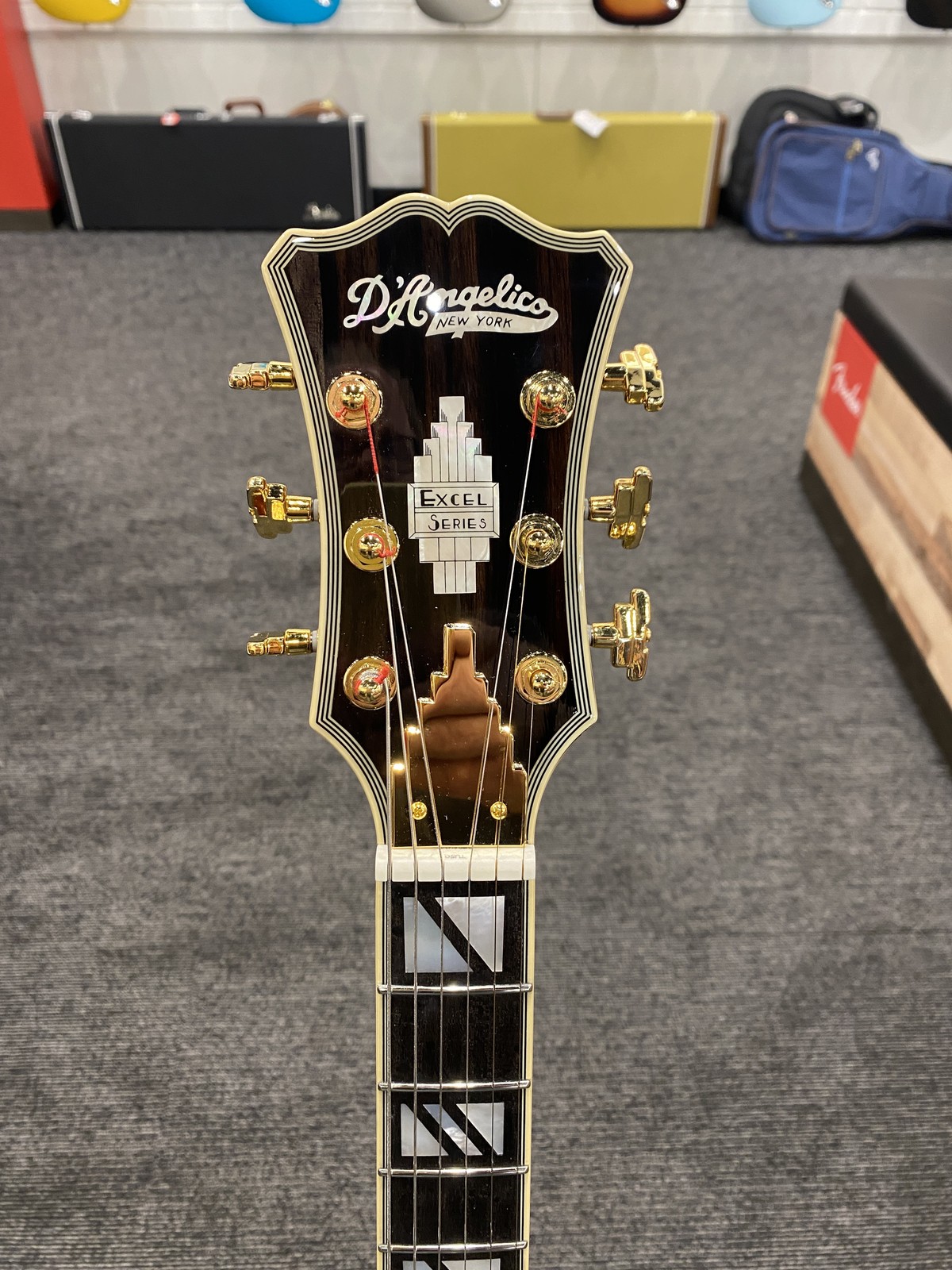 Excellent D’Angelico Excel 16 Hollowbody Electric Guitar, Ebony Fingerboard, Dar