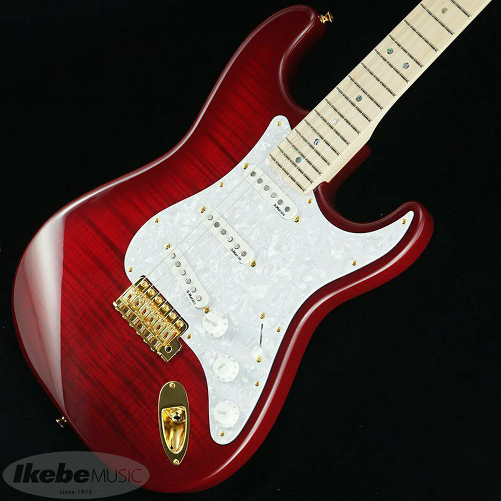 Fender Japan Exclusive Richie Kotzen Stratocaster Transparent Red Burst