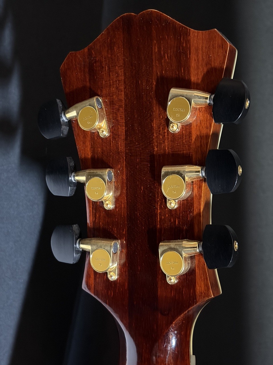 Eastman AR810