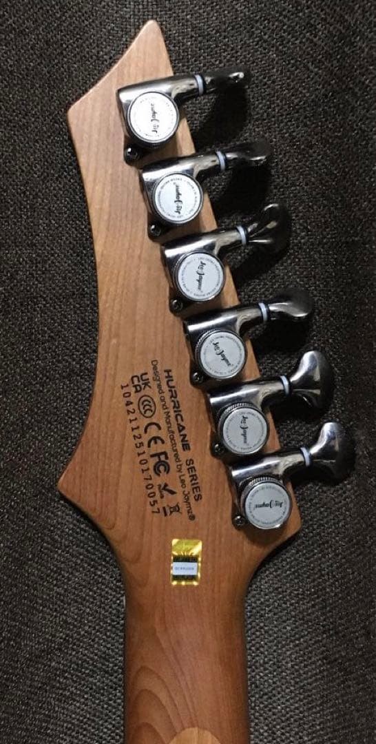 Leo Jaymz Electric Guitar