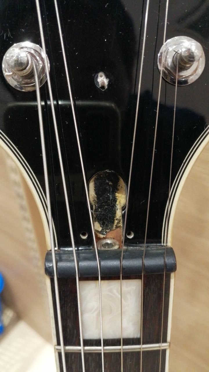 BUNNY Full Acco Mod Products Used