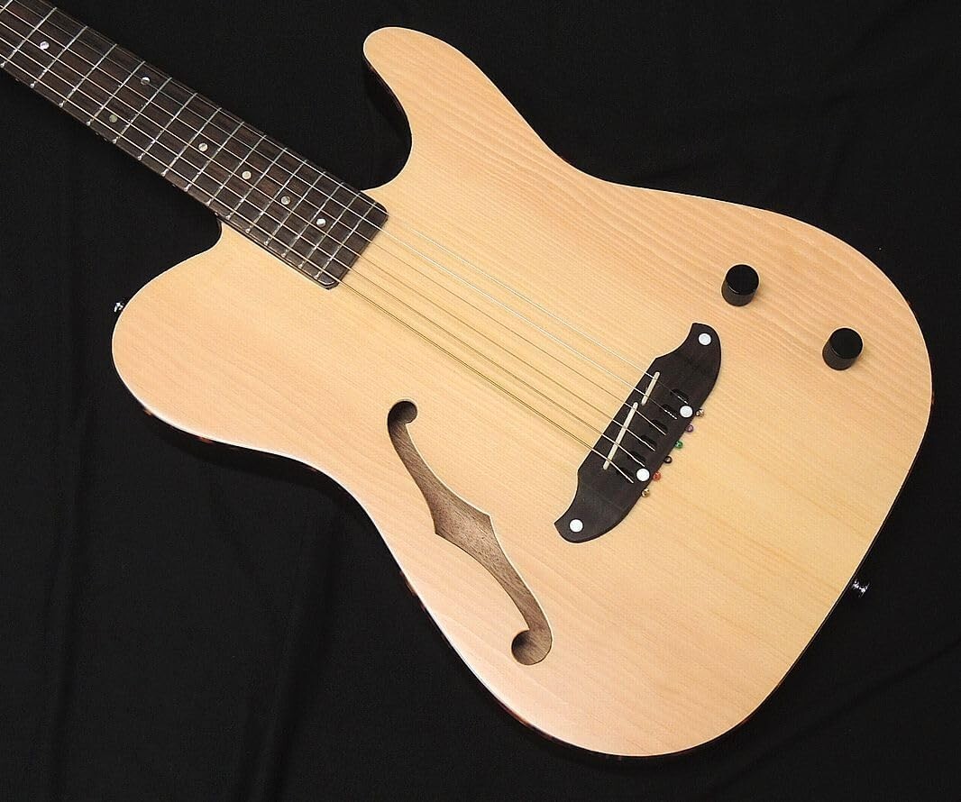 SCHECTER OL-FL-P SNTL Oriental Line Thin Body F Hole Electric Acoustic Guitar