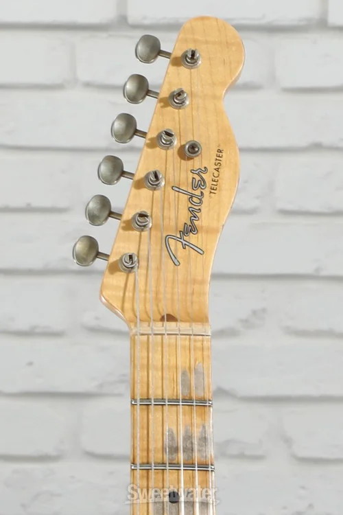 Fender Custom Shop Limited-edition Dual P-90 Telecaster Relic – Aged Blue Floral