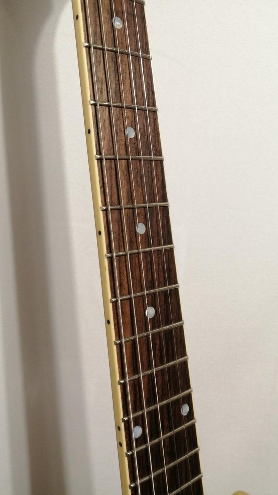 EPIPHONE 1960 LES PAUL SPECIAL DC Used 2024 Mahogany body/neck w/Hard case