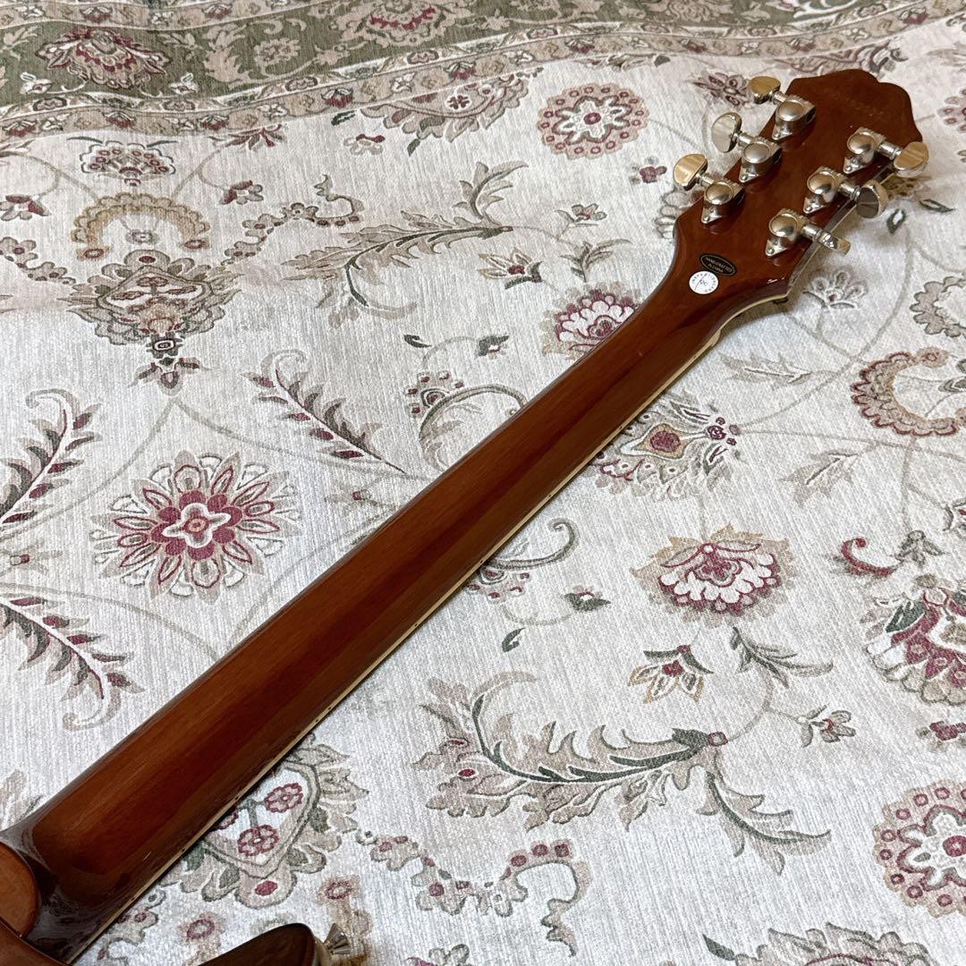 Epiphone Les Paul DC PRO Coil Tap 24.75″ Mahogany Flame Maple Veneer
